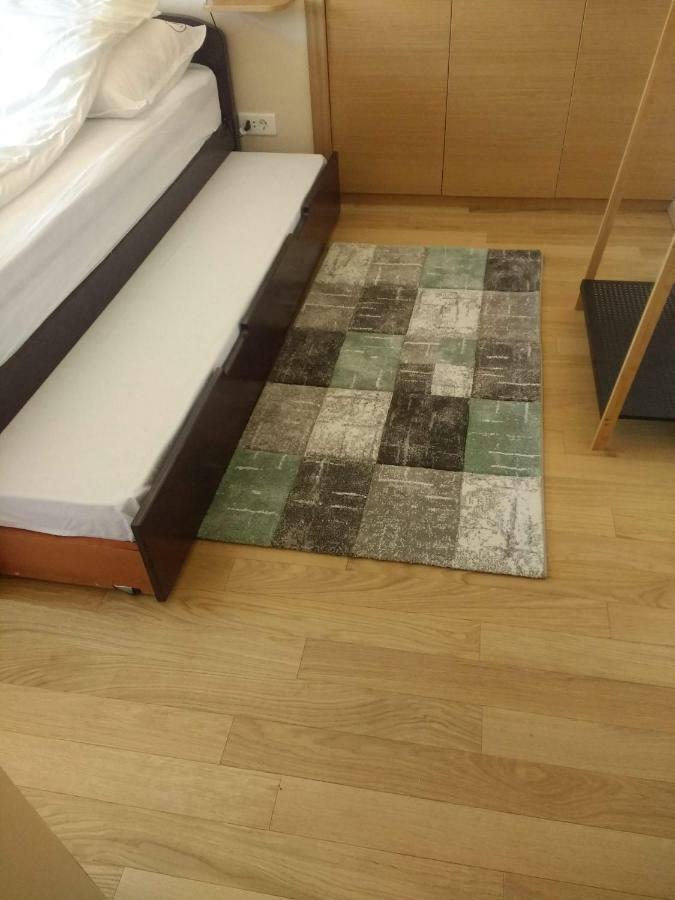 Raj Apartment ズラティボール エクステリア 写真