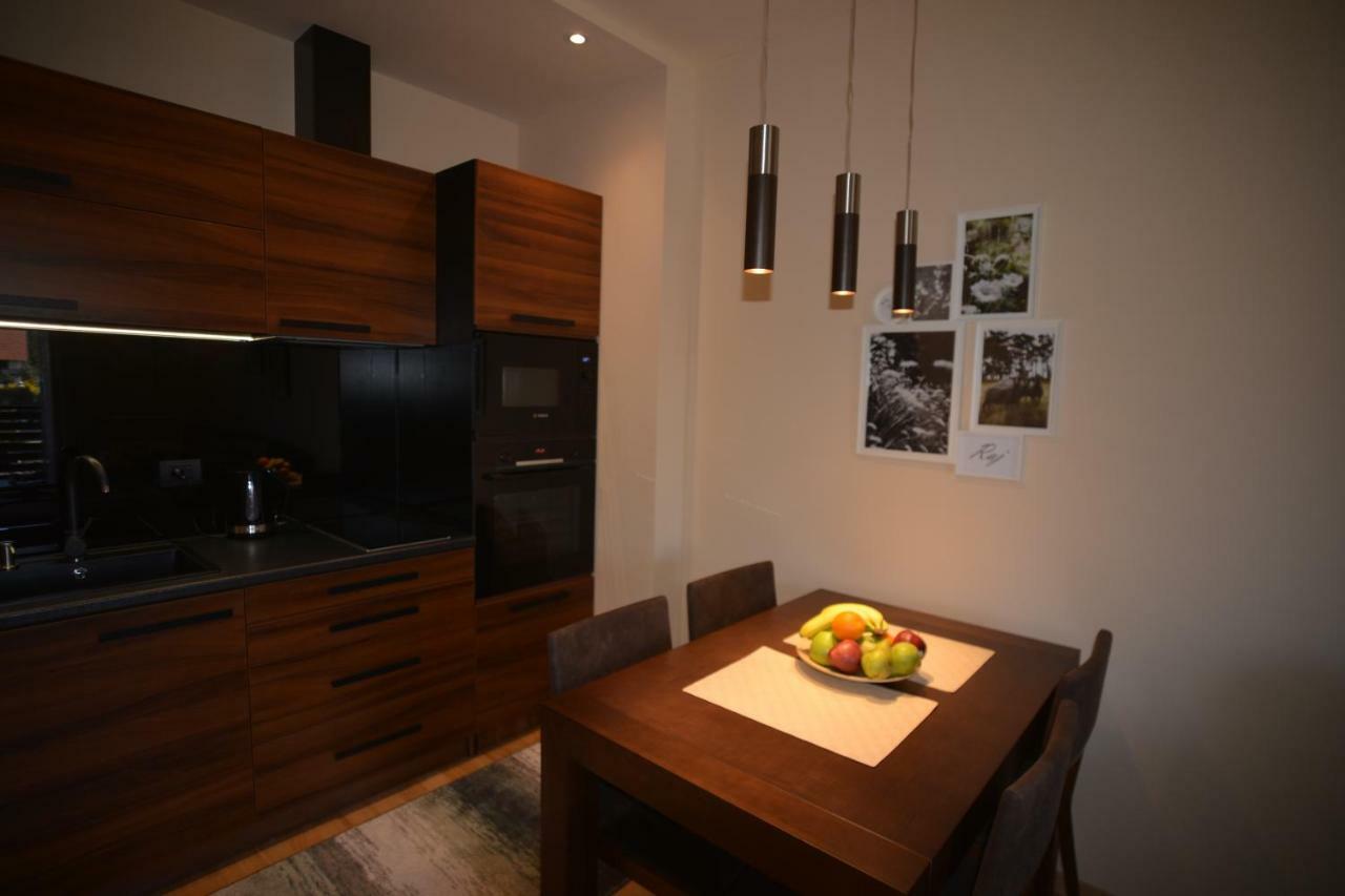 Raj Apartment ズラティボール エクステリア 写真